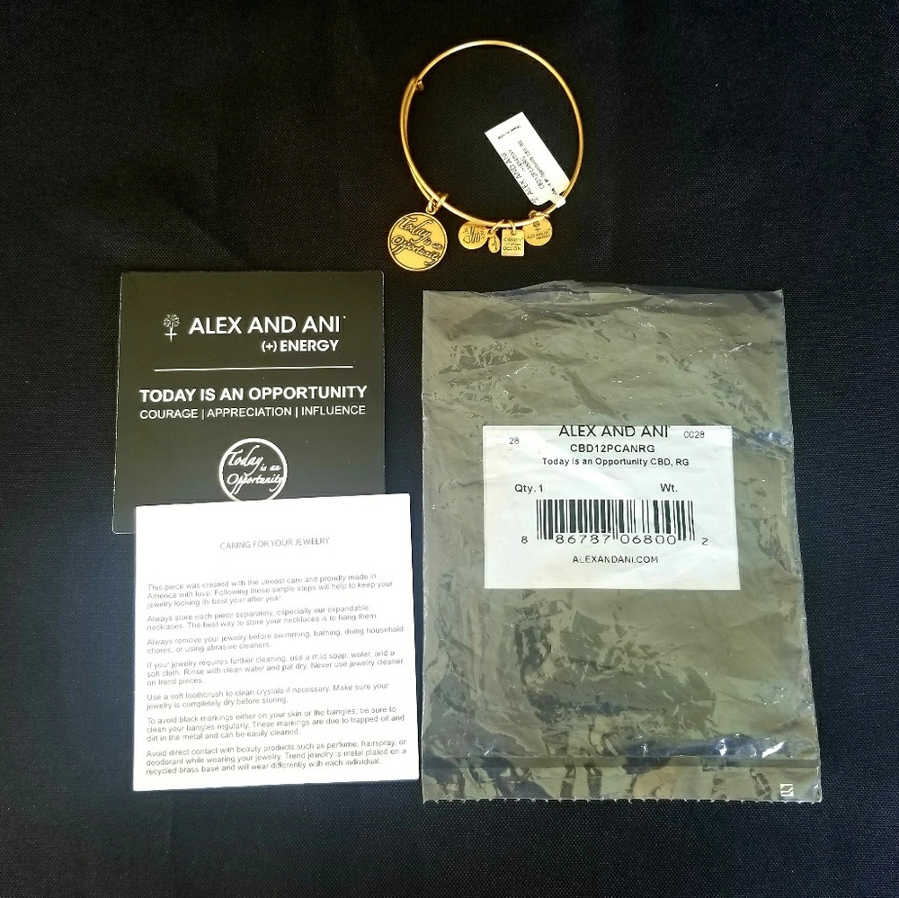NWT Alex and Ani Today is an Opportunity Bracelet - Picture 4 of 5